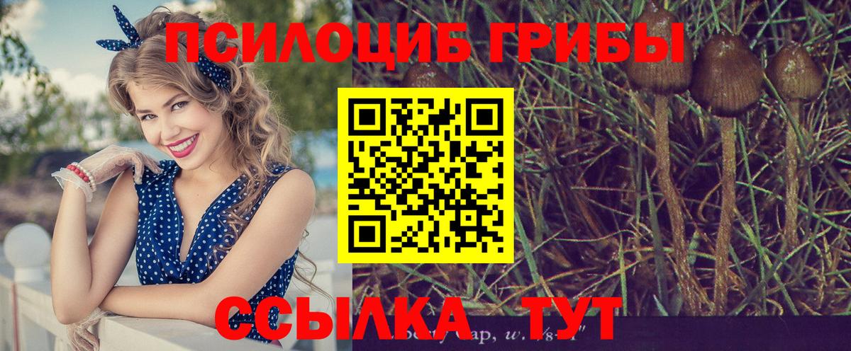 продажа наркотиков  Вход с VPN  Коряжма  Псилоцибиновые грибы Magic Shrooms 