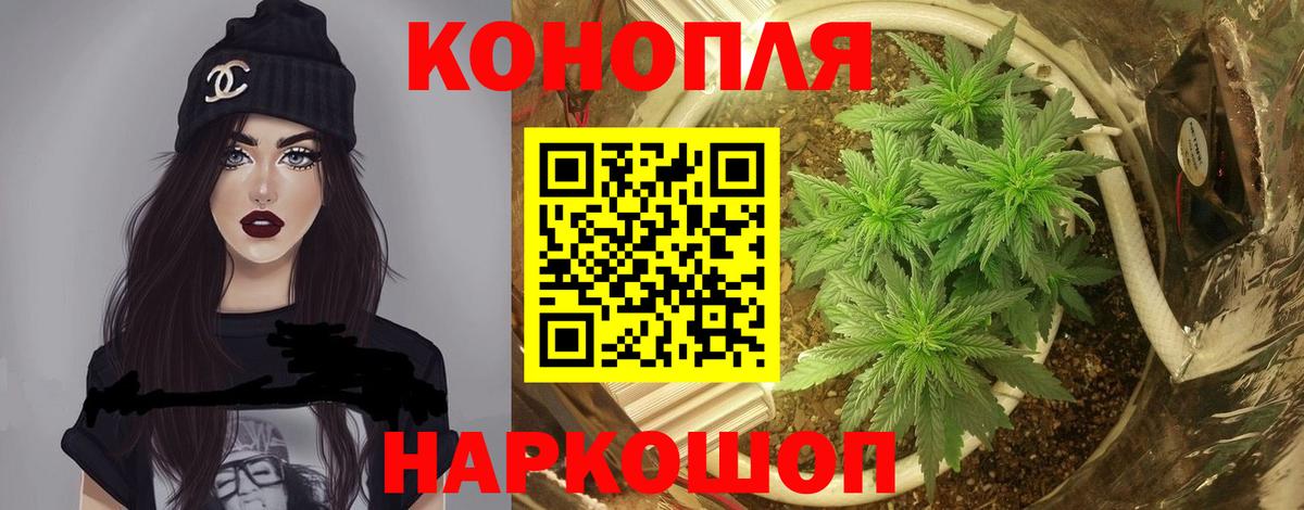 Канабис конопля Коряжма